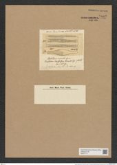 Rutilaria superba Grev. (de-Toni-Nr.: Genus 170, Species 4294) Zeichnungen Sammlung Grunow Nr. 7862 (NHMW-BOT-W0377117)